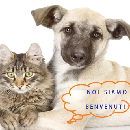 Apartmán Incantevole Con Box Auto Sanremo